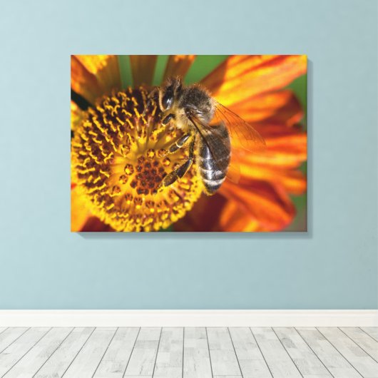 Toile Western Honey Bee Macro photo (Insitu (Plancher de Bois))