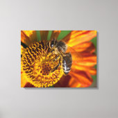 Toile Western Honey Bee Macro photo (Recto)