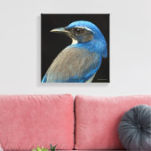 Toile Western Scrub Jay (Insitu(Salon))