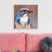 Toile Western Scrub Jay (Insitu(Salon))
