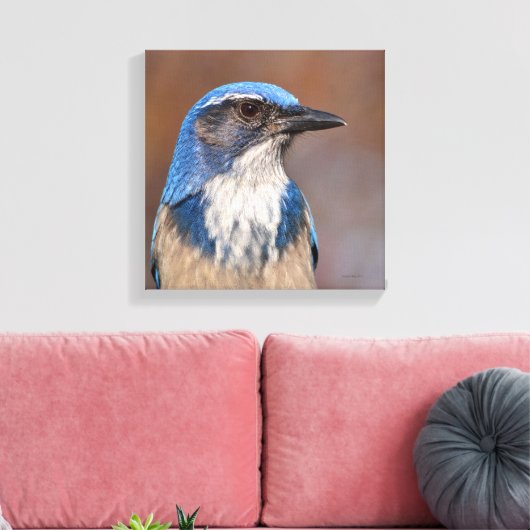 Toile Western Scrub Jay (Insitu(Salon))