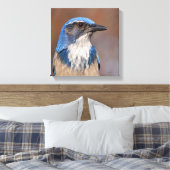 Toile Western Scrub Jay (Insitu(Chambre))