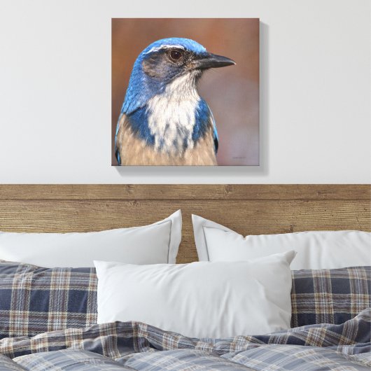 Toile Western Scrub Jay (Insitu(Chambre))
