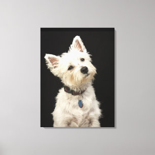 Toile Westie Terrier des montagnes occidental