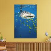 Toile Whale Shark with fish, Indonésie (Insitu(Salon))