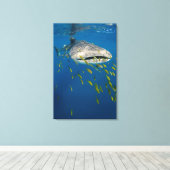 Toile Whale Shark with fish, Indonésie (Insitu (Plancher de Bois))