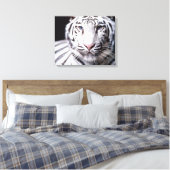 Toile White Bengal Tiger Photographe (Insitu(Chambre))