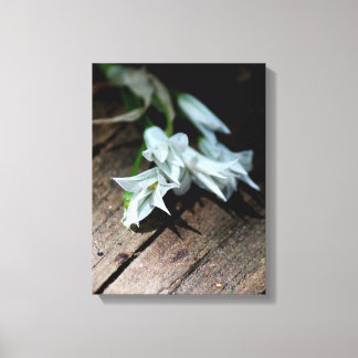 Toile White Flowers On A Bench Canvas Print