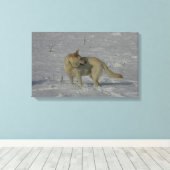 Toile White German Shepherd in the Snow (Insitu (Plancher de Bois))