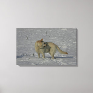 Toile White German Shepherd in the Snow