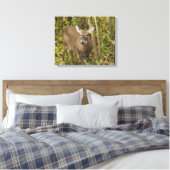 Toile White Tailed (Insitu(Chambre))