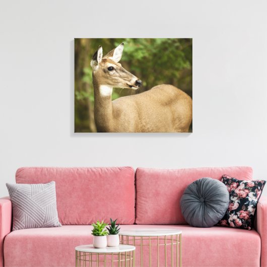 Toile White Tailed (Insitu(Salon))