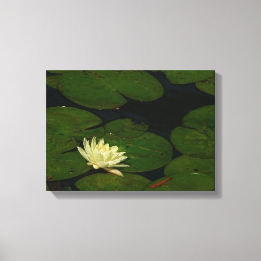 Toile White Waterlily I Peaceful (Recto)
