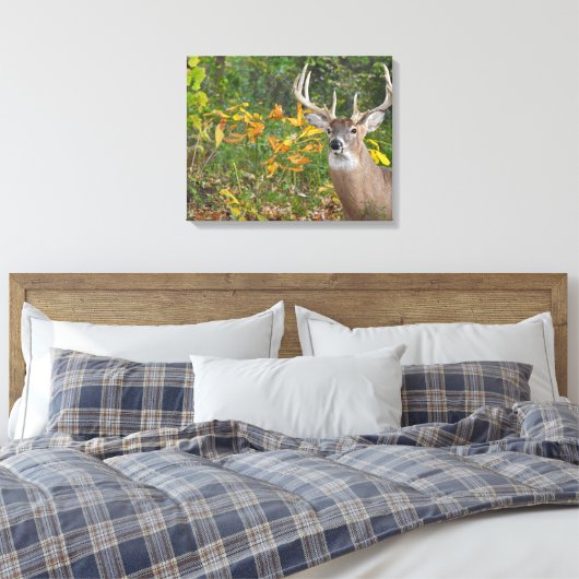 Toile Whitetail (Insitu(Chambre))