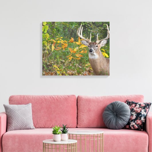 Toile Whitetail (Insitu(Salon))