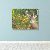 Toile Whitetail (Insitu (Plancher de Bois))