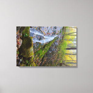 Toile Wigwam Falls, Blue Ridge Parkway, Virginie