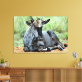 Toile Wildebeest d'Afrique du Sud (Insitu(Salon))
