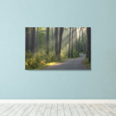 Toile Wilderness Drive, parc d'État d'Itasca, (Insitu (Plancher de Bois))