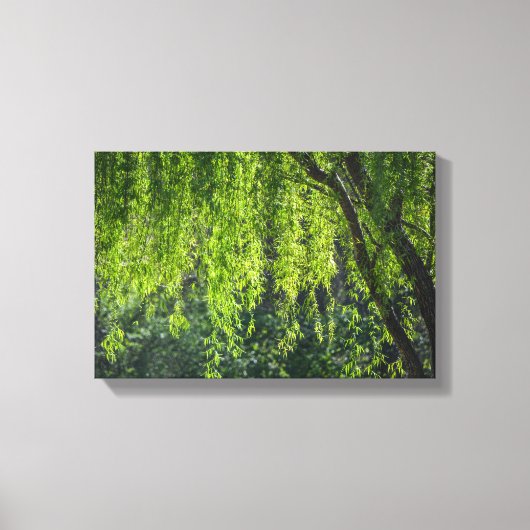 Toile Willow Tree Green Nature (Recto)