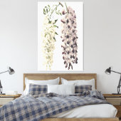 Toile Wisteria Sinensis Art Botanique Isolé Sur Blanc (Insitu(Chambre))