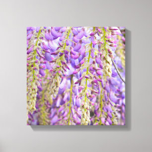Toile Wisteria Violet Floral Blossom Tree Violet