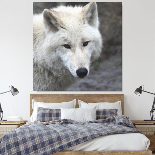 Toile Wolf_015 (Insitu(Chambre))