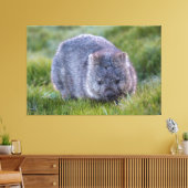 Toile Wombat Animal Faune Tasmanie Australie Vert (Insitu(Salon))