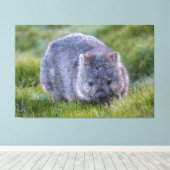 Toile Wombat Animal Faune Tasmanie Australie Vert (Insitu (Plancher de Bois))