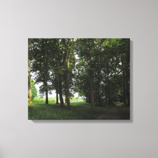 Toile Wood, Bute Park Cardiff (Recto)