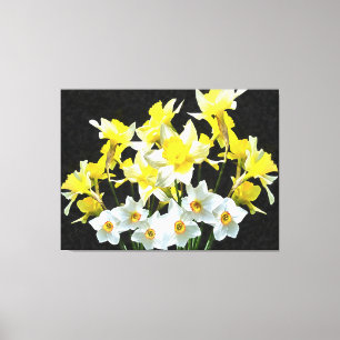 Toile Yellow Daffodils And White Narcissi On Grey