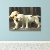 Toile Yellow Labrador Retriever (Insitu (Plancher de Bois))