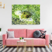 Toile Yeux de grenouille (Insitu(Salon))