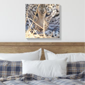 TOILE YEUX DE LÉOPARD INTENSES EN GROS PLAN (Insitu(Chambre))
