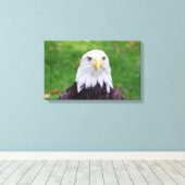 Toile Yeux d'un aigle (Insitu (Plancher de Bois))