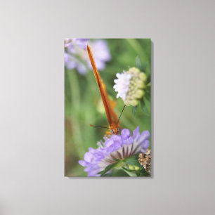 Toile Yeux papillon