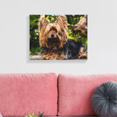 Toile Yorkie (Insitu(Salon))