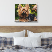 Toile Yorkie (Insitu(Chambre))
