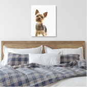 Toile Yorkshire Terrier 2 (Insitu(Chambre))