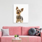 Toile Yorkshire Terrier 2 (Insitu(Salon))