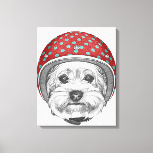 Toile Yorkshire Terrier Daredevil (Recto)