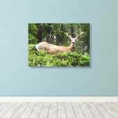 Toile Yosemite Deer Nature Photographie (Insitu (Plancher de Bois))