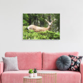Toile Yosemite Deer Nature Photographie (Insitu(Salon))