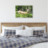 Toile Yosemite Deer Nature Photographie (Insitu(Chambre))