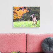 Toile Young Deer à l'automne (Insitu(Salon))