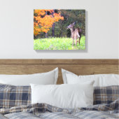 Toile Young Deer à l'automne (Insitu(Chambre))