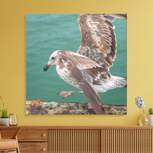 Toile Young Gull (Insitu(Salon))