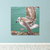Toile Young Gull (Insitu (Plancher de Bois))