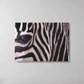 Toile Zebra Art (Recto)