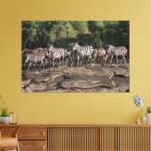 Toile Zebra Herd Natural African Setting Metal Print (Insitu(Salon))